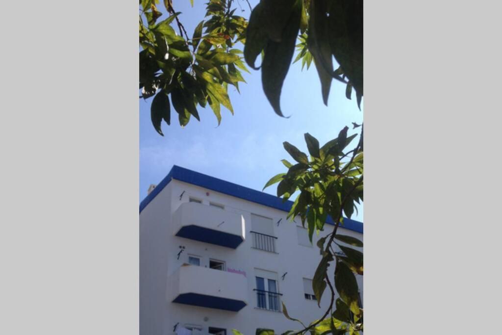 Casa Bela Vista Lagos Center 아파트 외부 사진